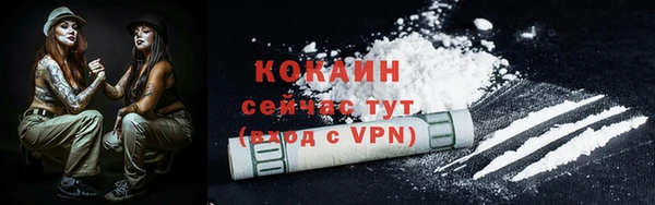 молекула духа Костерёво