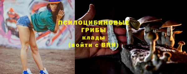 молекула духа Костерёво