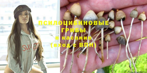 jwh Корсаков