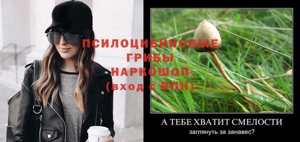 альфа пвп Козельск