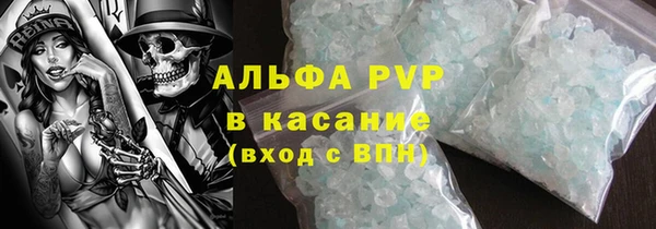 молекула духа Костерёво