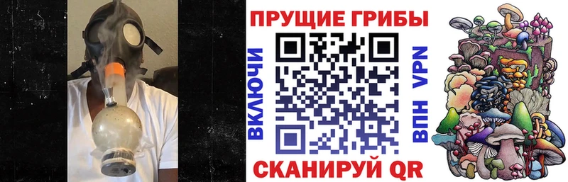 Псилоцибиновые грибы ЛСД  Купить  Гремячинск 